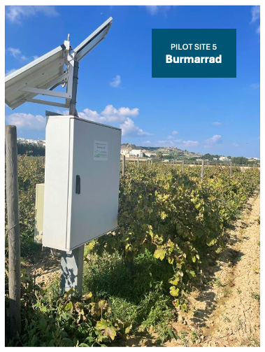 PILOTE SITE MALTA 5 - BURMARRAD