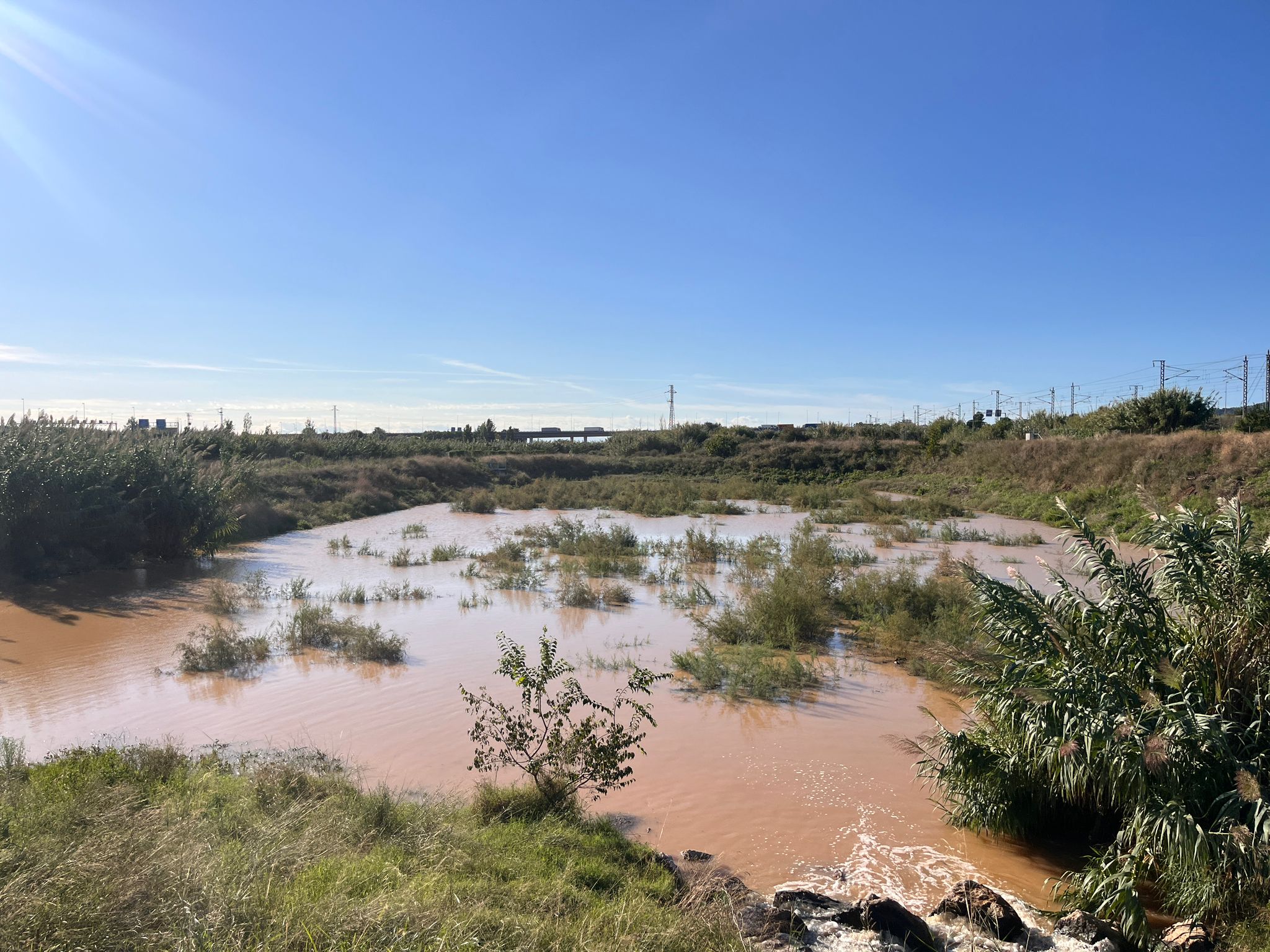 spotlight cuadll LLOBREGAT english